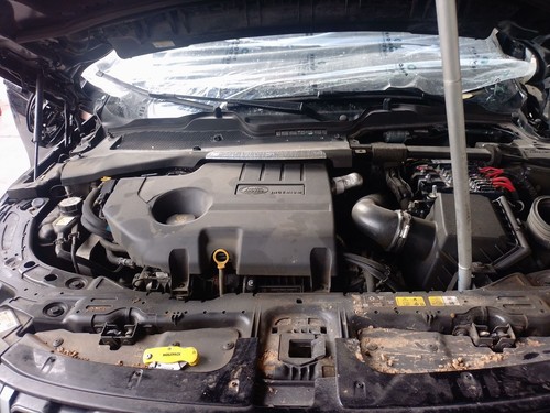 Motore completo 204dty - /, /