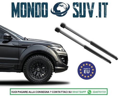 Pistoncini anteriori molle - anteriori,